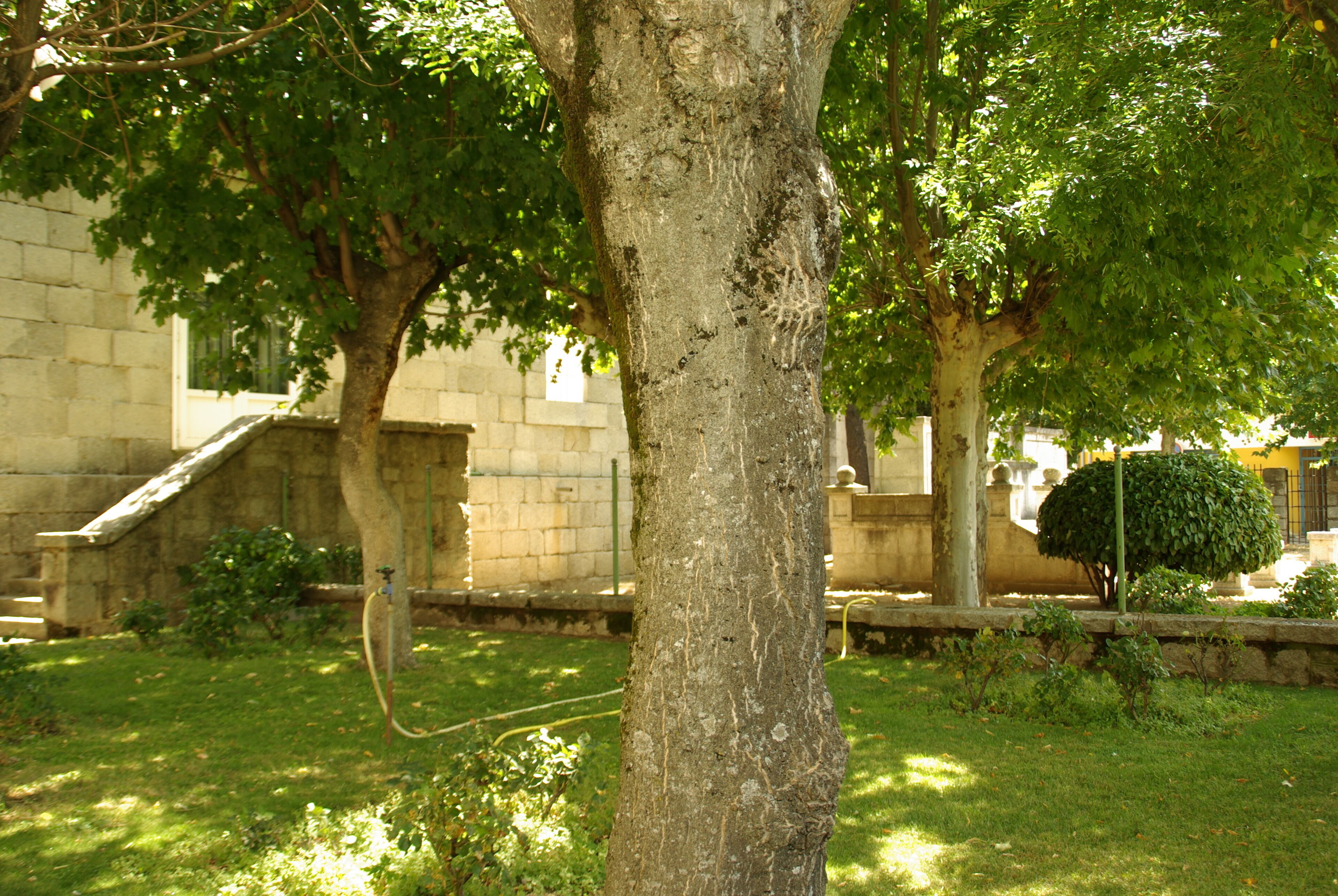 ® S.D. (ES,EN.) GUADARRAMA IGLESIA SAN MIGUEL ARCANGEL