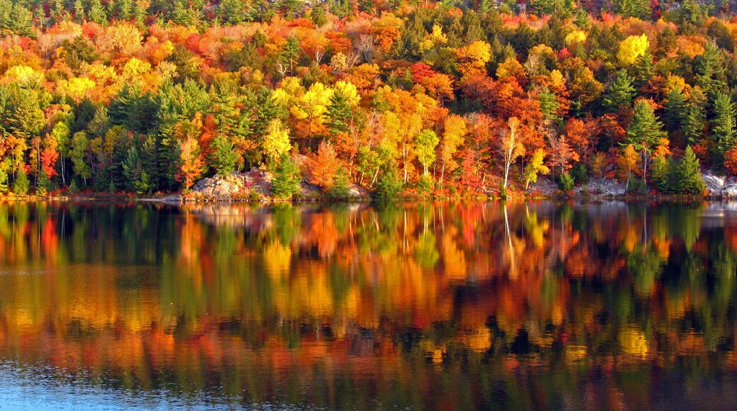 morning at the lake 3