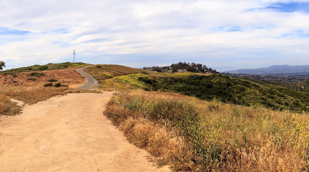 Aliso and Wood Canyons Wilderness Park hiking paths in Laguna Beach, California in spring