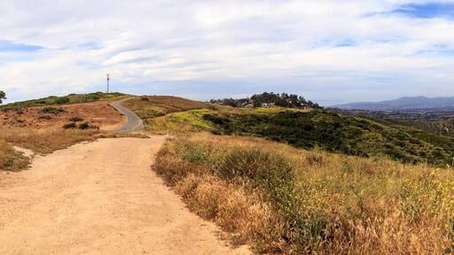 Aliso and Wood Canyons Wilderness Park hiking paths in Laguna Beach, California in spring