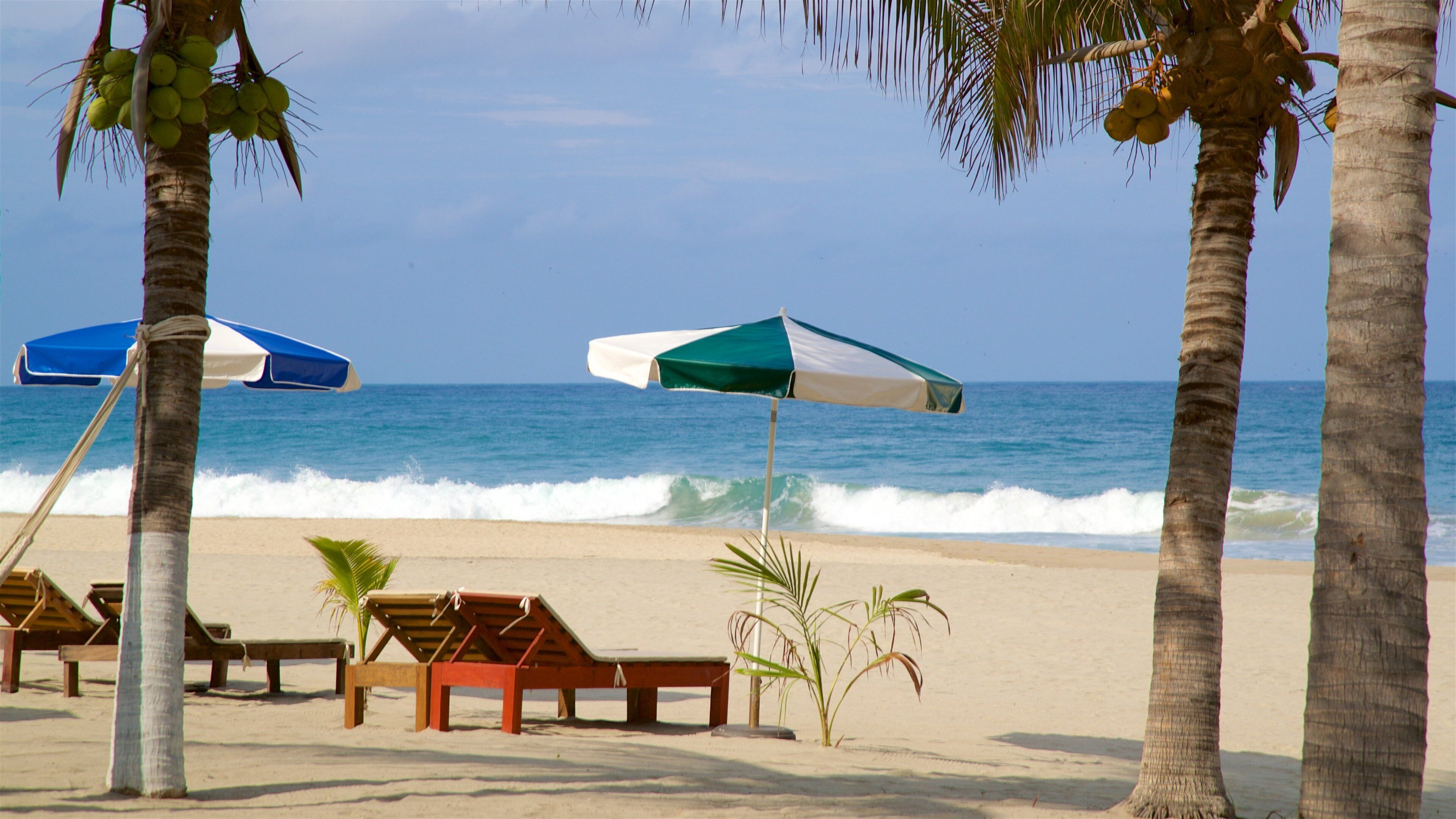 Una playa con palmeras, dos sombrillas y sillas de descanso.