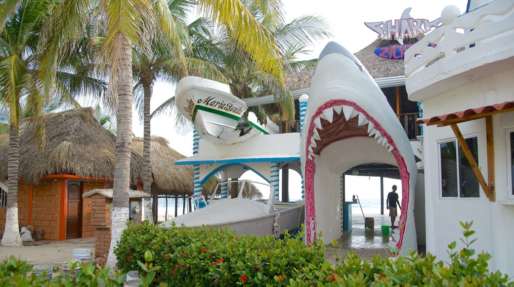 Zicatela Beach 设有 海灘酒吧 和 一般的海岸景觀