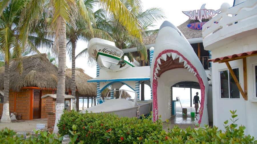 Zicatela Beach que incluye vistas de una costa y un bar en la playa