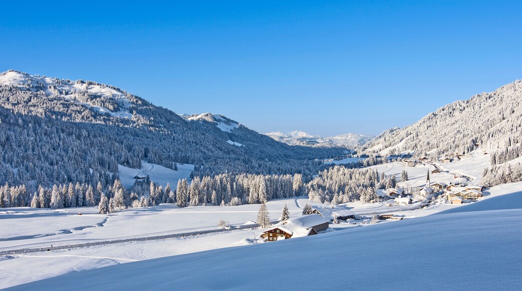 Balderschwang