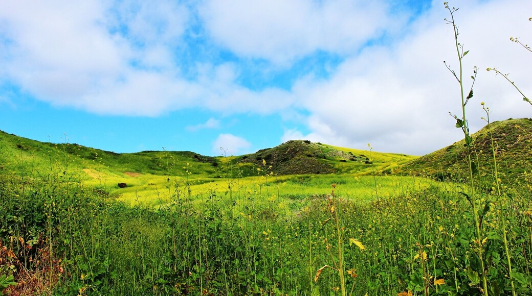 Nature is simply beautiful. #green