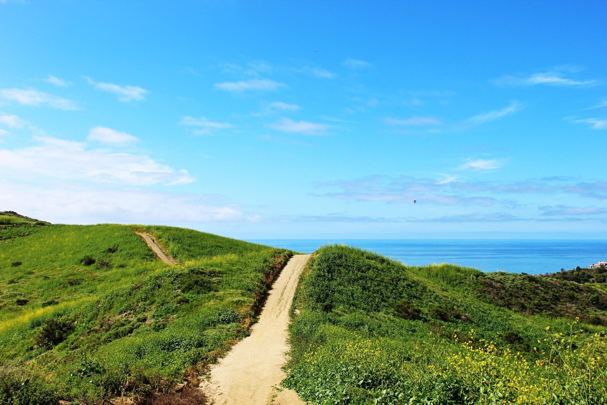 "You will recognize your own path when you come upon it, because you will suddenly have all the energy and imagination you will ever need."- Jerry Gillies #green