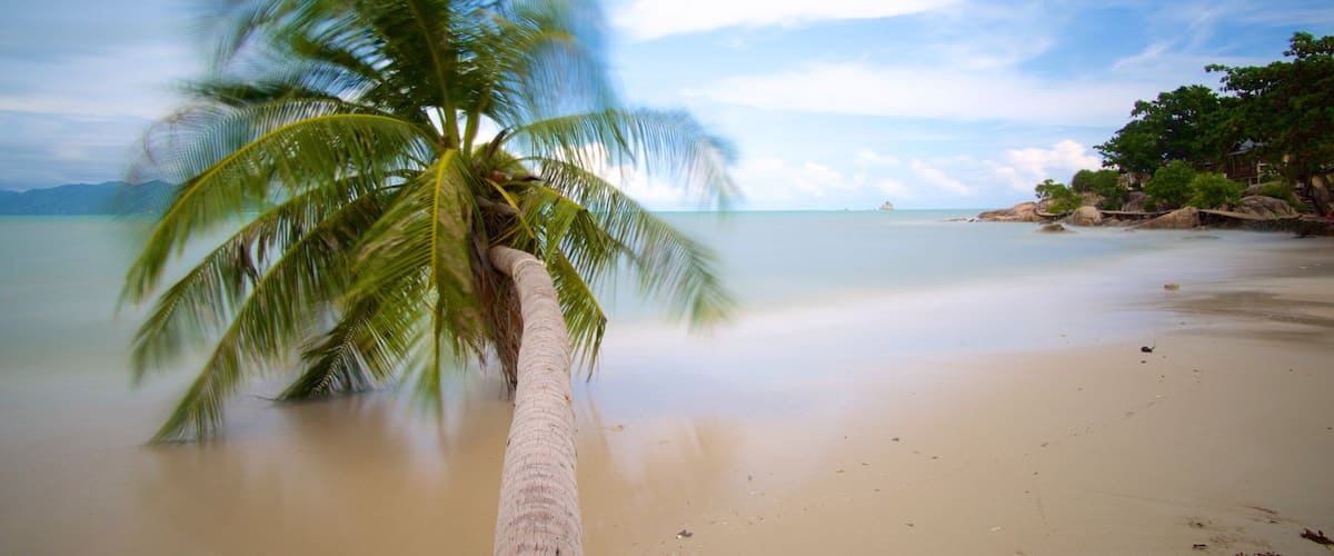 Ko Samui ofreciendo escenas tropicales y una playa