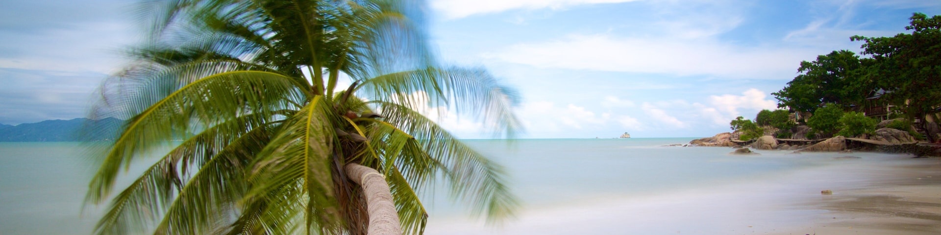 Koh Samui showing tropical scenes and a beach