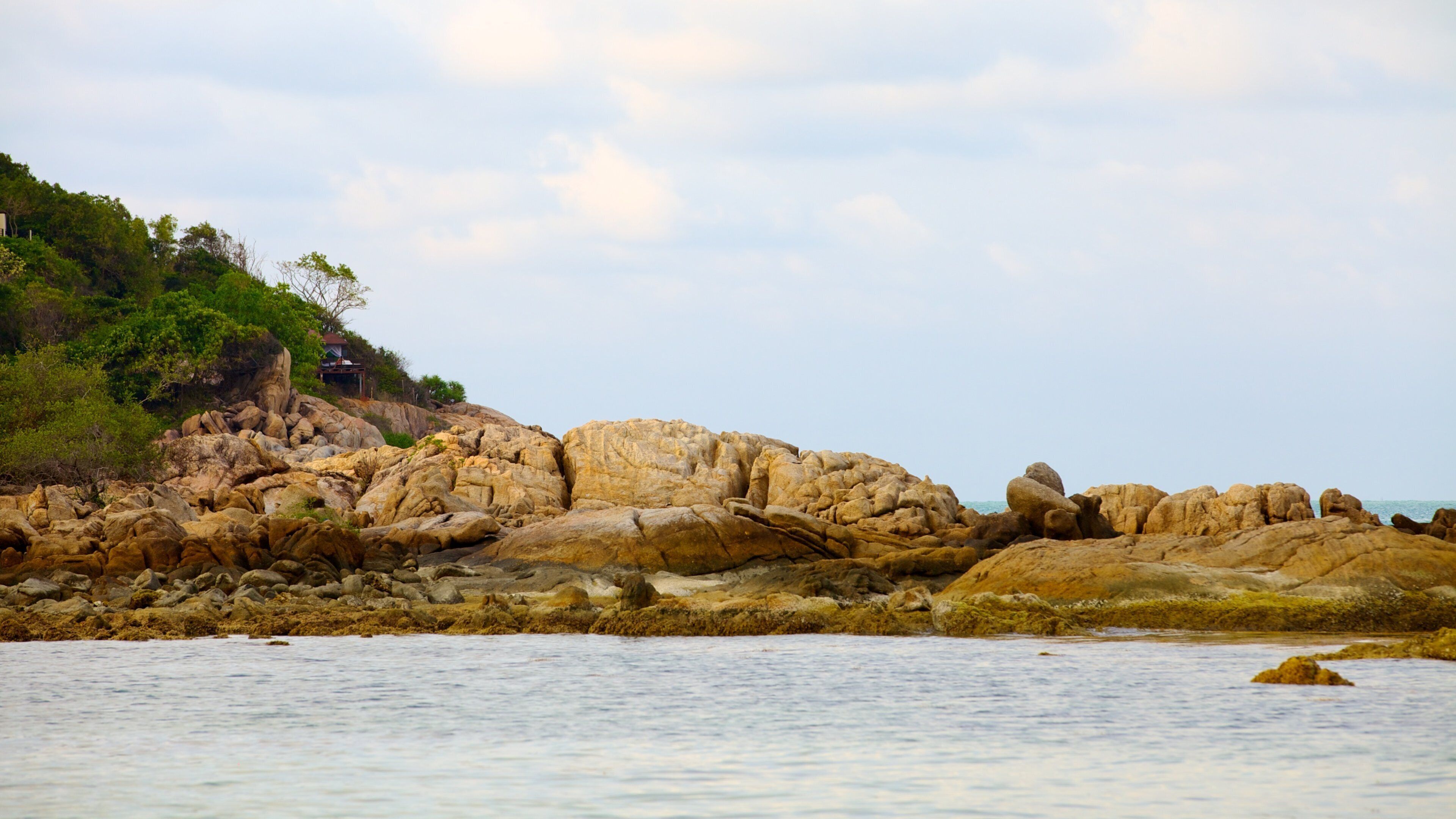 Ko Samui mostrando escenas tropicales, vistas de paisajes y costa escarpada