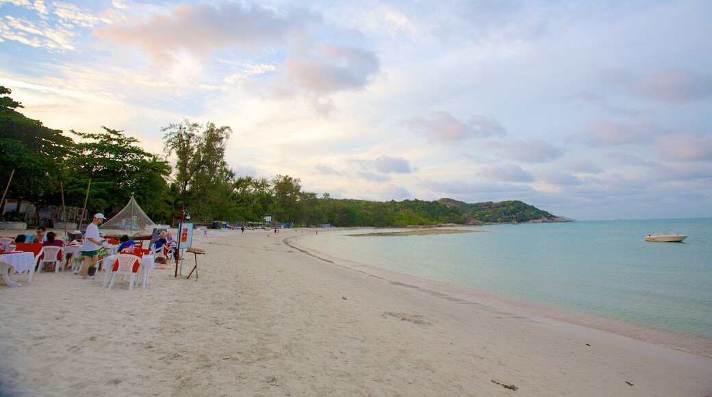 Koh Samui featuring tropical scenes and a sandy beach