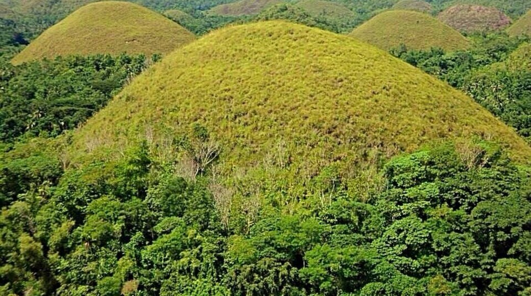 Chocolate Hills
