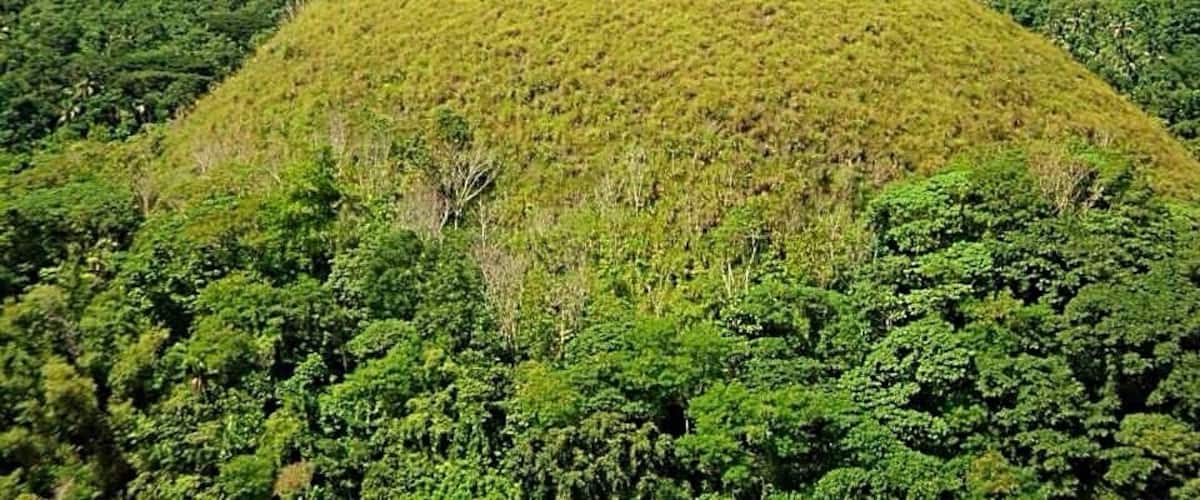 Chocolate Hills