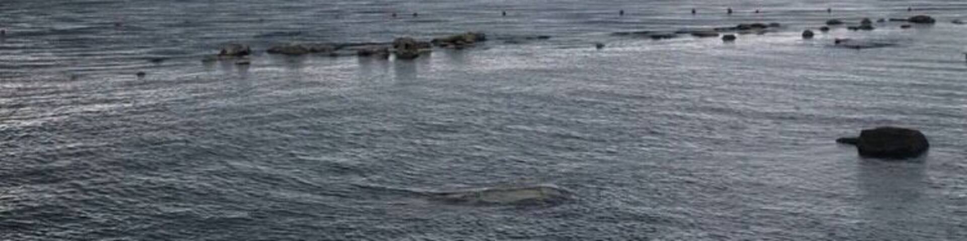 DescriptionThe Bulgarian Black Sea Coast covers the entire eastern bound of Bulgaria stretching from the Romanian Black Sea resorts in the north to European Turkey in the south, along 378 km of coastline. White and golden sandy beaches occupy approximately 130 km of the 378 km long coast.
#black_sea #thunderstorm⚡️ #golden _sands 🇧🇬