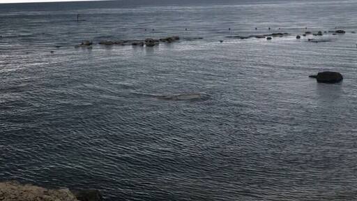 DescriptionThe Bulgarian Black Sea Coast covers the entire eastern bound of Bulgaria stretching from the Romanian Black Sea resorts in the north to European Turkey in the south, along 378 km of coastline. White and golden sandy beaches occupy approximately 130 km of the 378 km long coast.
#black_sea #thunderstorm⚡️ #golden _sands 🇧🇬