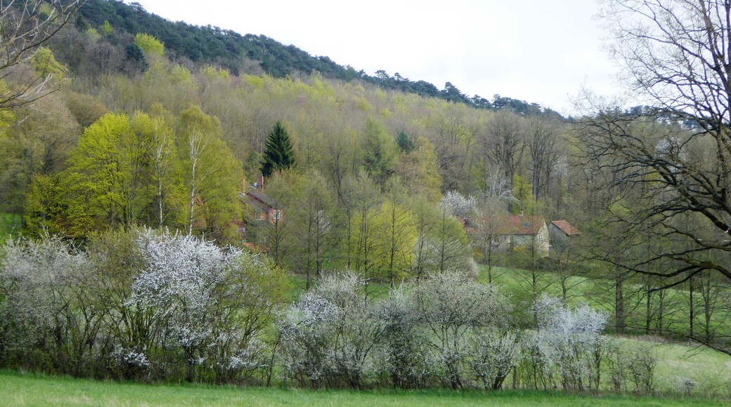Siedlung Leisenrode am Hang der Weper nördlich der Stadt Hardegsen, Südniedersachsen. Blick von Nordnordwesten
