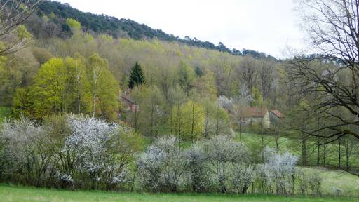 Siedlung Leisenrode am Hang der Weper nördlich der Stadt Hardegsen, Südniedersachsen. Blick von Nordnordwesten