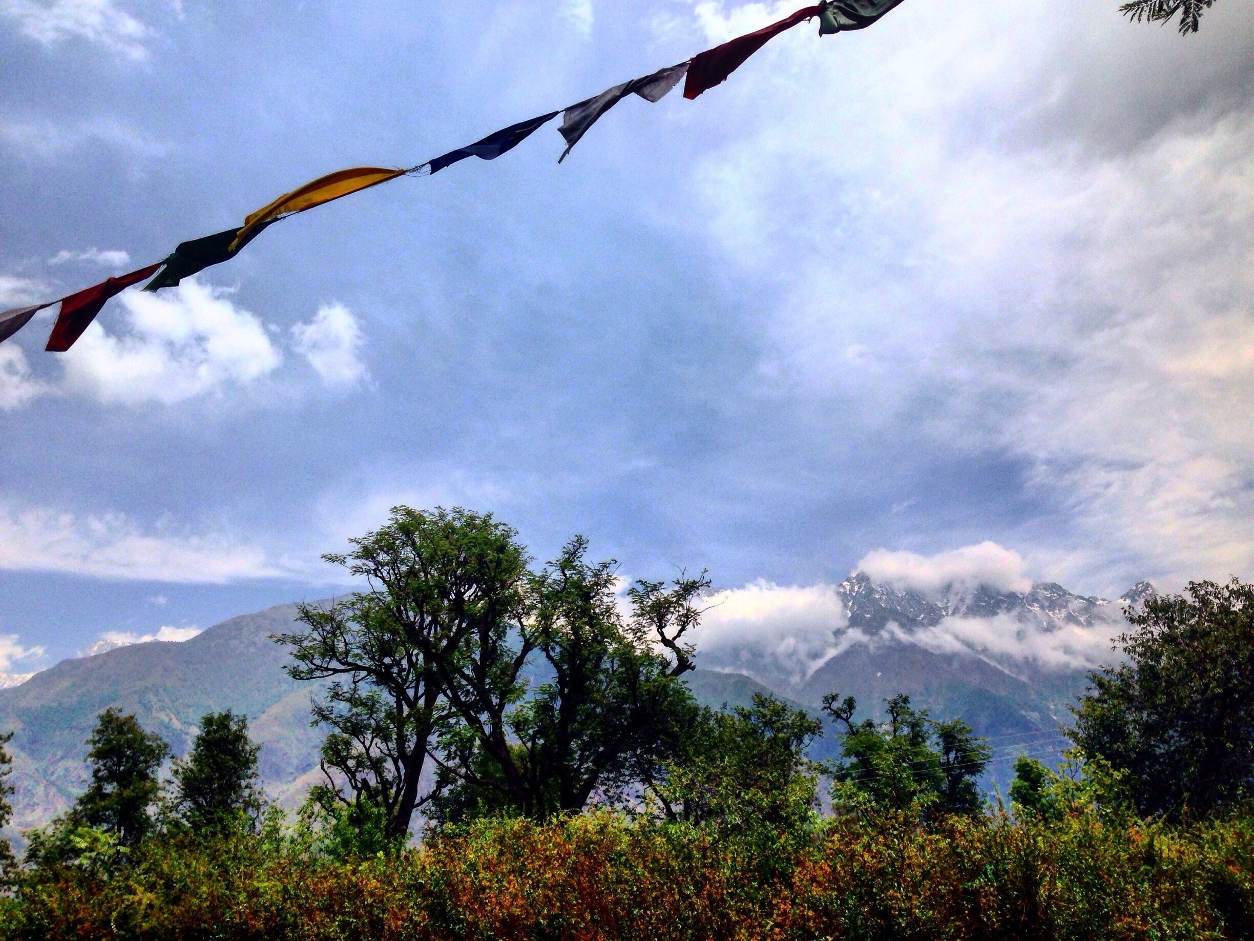 Buddhist prayer flags fluttering in the breeze overlooking snowy Himalayan range from the tea estates of Palampur.  

Palampur is one of the hidden gems and is fast becoming a place for yoga and artsy endeavours in Himachal Pradesh. 