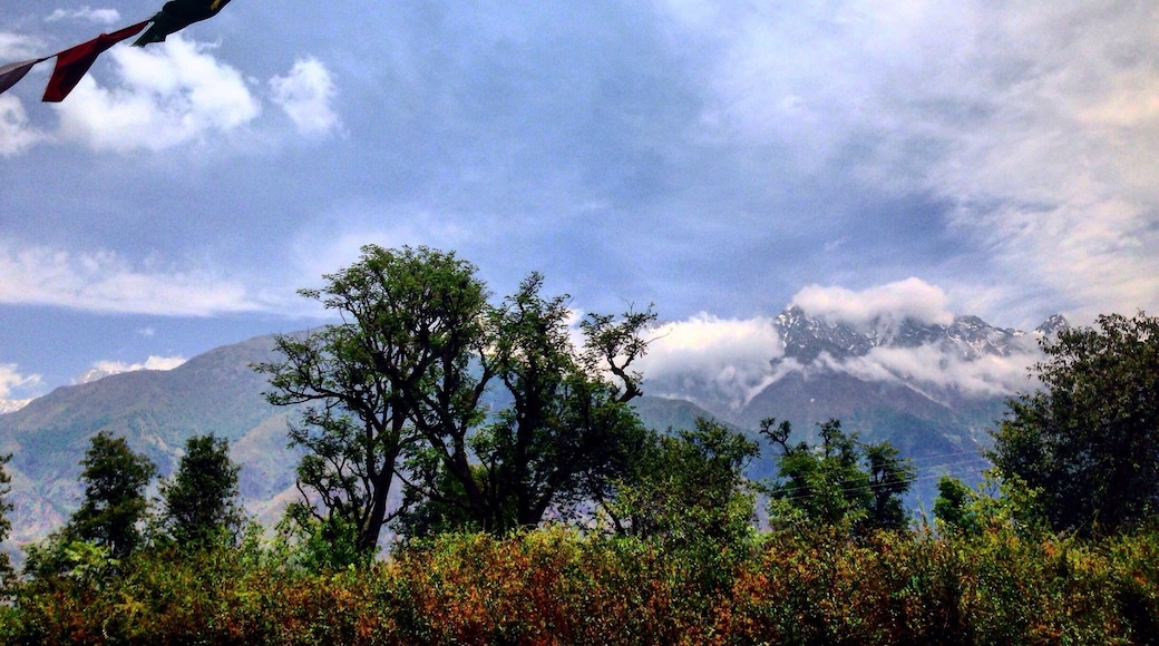 Buddhist prayer flags fluttering in the breeze overlooking snowy Himalayan range from the tea estates of Palampur.
Palampur is one of the hidden gems and is fast becoming a place for yoga and artsy endeavours in Himachal Pradesh.