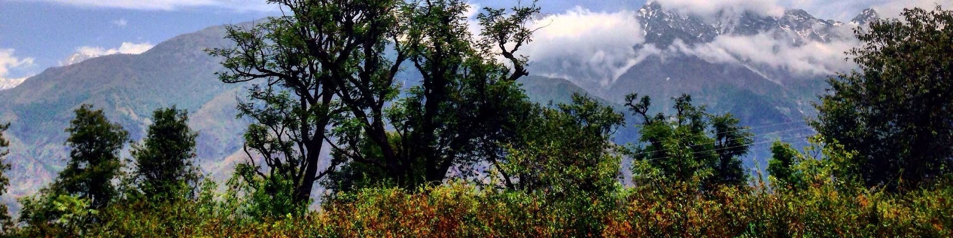 Buddhist prayer flags fluttering in the breeze overlooking snowy Himalayan range from the tea estates of Palampur.
Palampur is one of the hidden gems and is fast becoming a place for yoga and artsy endeavours in Himachal Pradesh.
