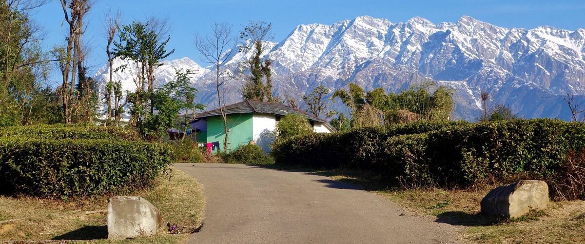 Morning walks along Patti village (near Palampur / Mcleodganj) are the stuff of dreams. Crisp mountain air, kids going to school, the smell of tea leaves, and the snow clad mountains glowing in the soft morning sun 😍
#theshootingstar #himachalpradesh #palampur #himalayas