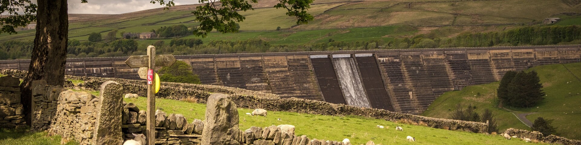 baitings dam with sheep
