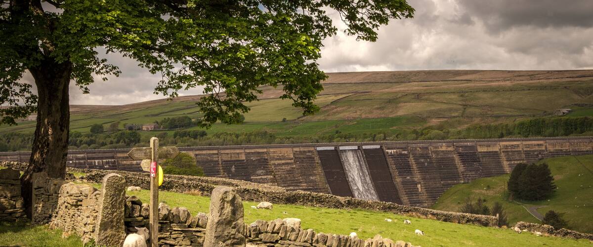 A stone wall, sheep, and a dam in a rural landscape.
