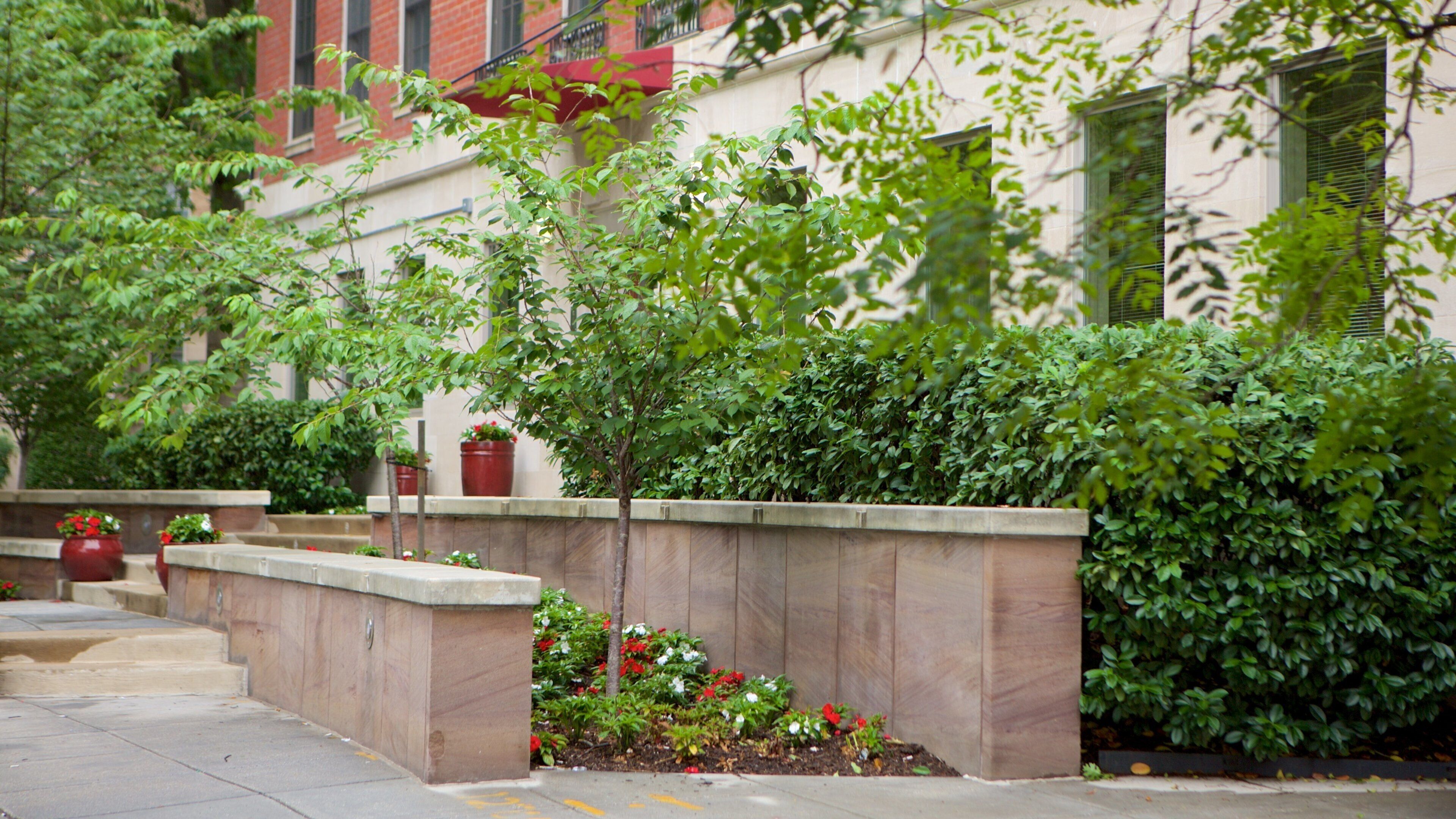 Woodley Park showing a park