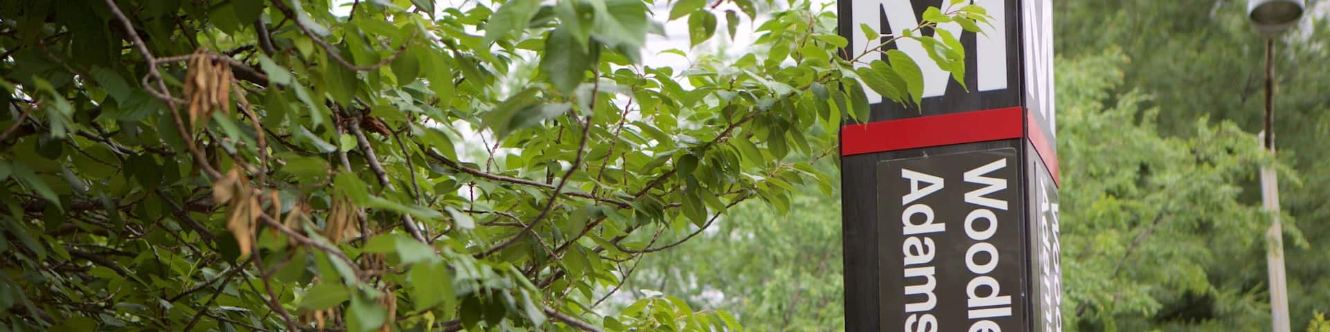 Woodley Park featuring signage and a garden