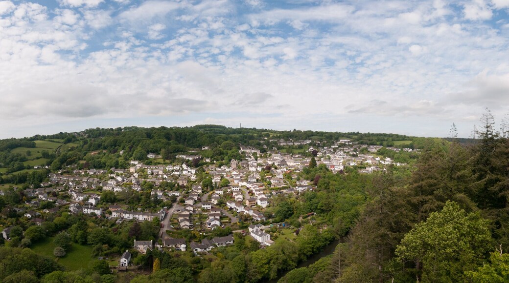 Gunnislake village in the Tamar valley as seen from Morewell Rocks.