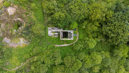 Aerial view of the ruins of a cornish mining heritage site surrounded by lush forest and greenery, Gunnislake, United Kingdom.