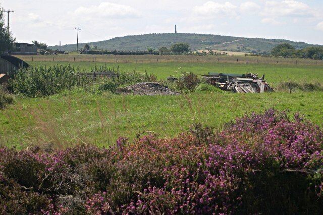 Western side of Hingston Down Unlike the eastern side of the down the land here has not been torn apart by mining activity. In the distance is Kit Hill.