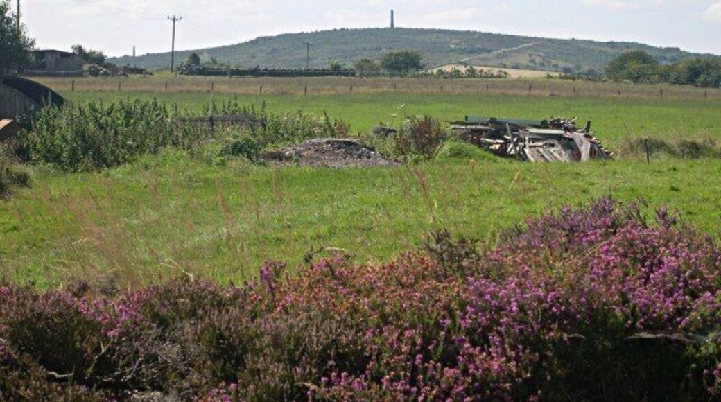 Western side of Hingston Down Unlike the eastern side of the down the land here has not been torn apart by mining activity. In the distance is Kit Hill.