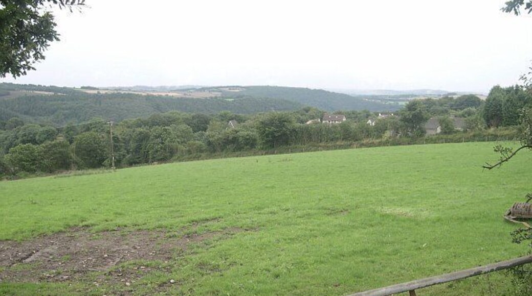 Farmland above Gunnislake village.