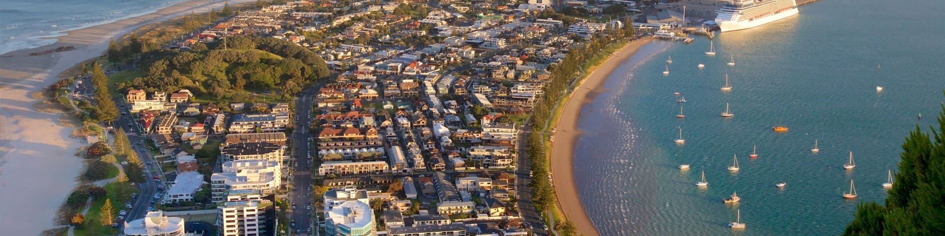 マウント マウンガヌイ 表示 海岸線の眺め, 湾岸あるいはハーバー と 海岸沿いの町