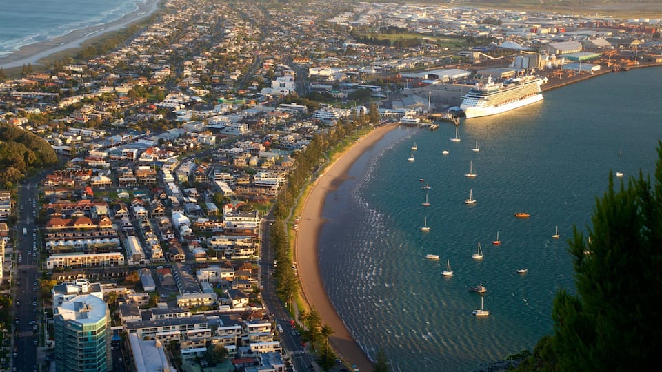 A coastal city with a large cruise ship docked at the port, numerous sailboats, and a densely built residential area.