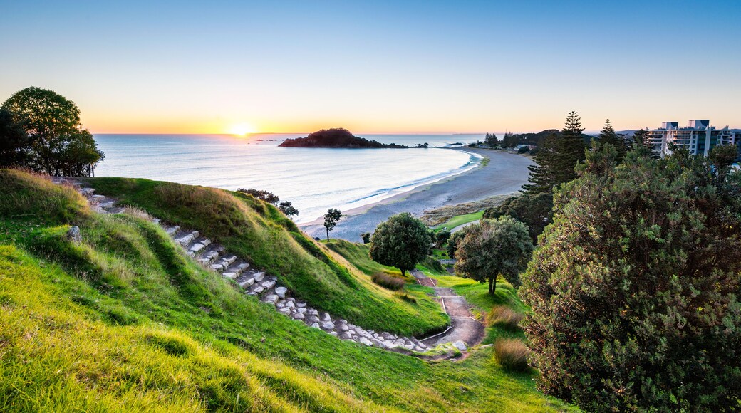 Sunrise at summit track on Mount Maunganui, New Zealand