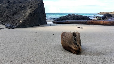 The Southern tip of the Island on the East side doesn't look like anywhere else in the area. Instead of limestone rocks, there are sharp black basalt boulders around a natural cove of coral sand. Perfect for a picnic.