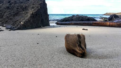 The Southern tip of the Island on the East side doesn't look like anywhere else in the area. Instead of limestone rocks, there are sharp black basalt boulders around a natural cove of coral sand. Perfect for a picnic.