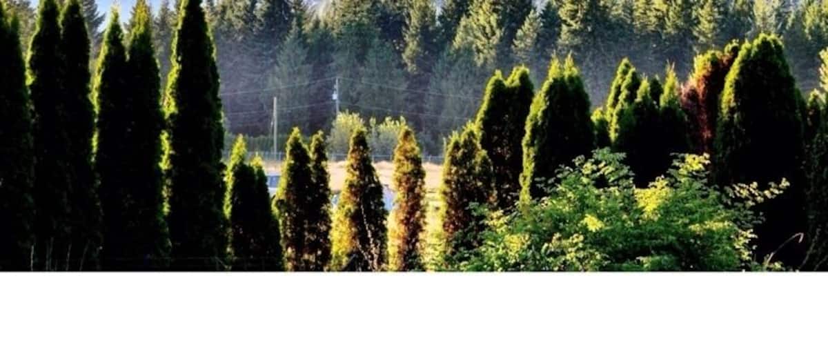 Beautiful BC Landscape