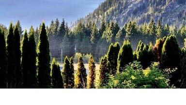 Beautiful BC Landscape