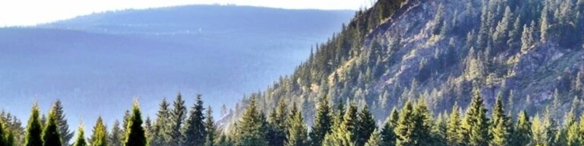 Beautiful BC Landscape