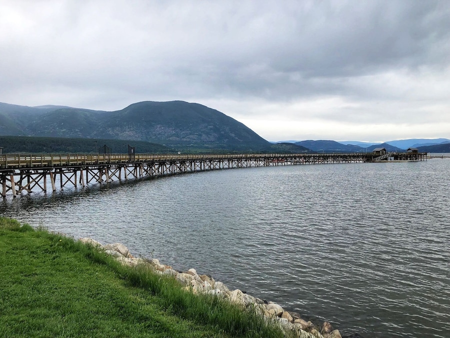 In Salmon Arm, BC, the Salmon Arm Wharf is the longest curved inland wharf in North America. (June 2019)
#Trovember