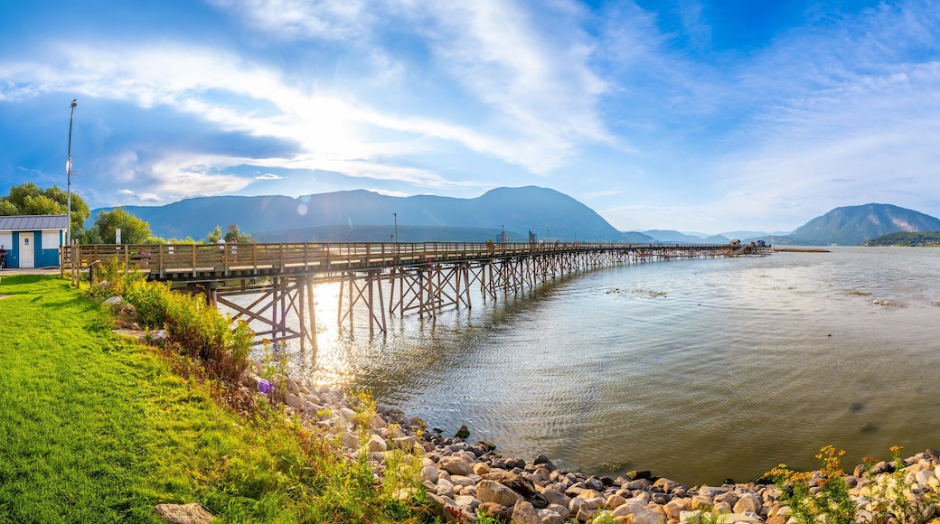 Salmon Arm