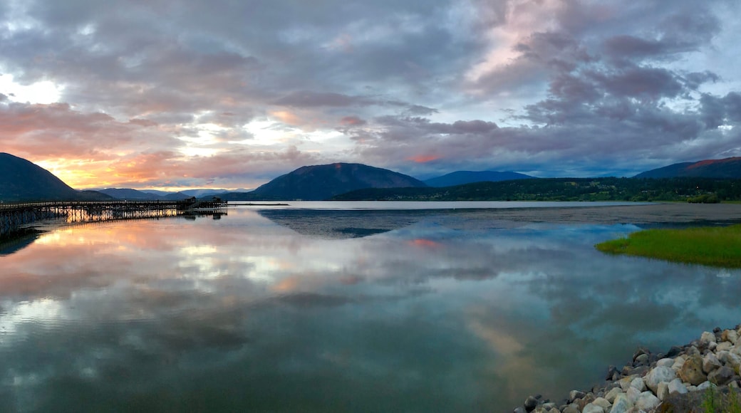 Salmon Arm