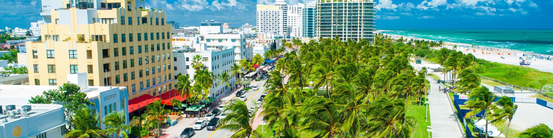 Paisagem costeira com palmeiras, uma praia e edifícios altos.