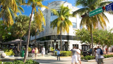 Lincoln Road Mall featuring tropical scenes, a city and central business district