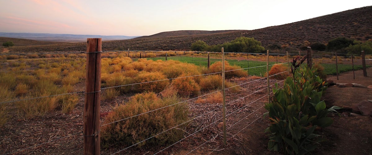 A fenced field with dry grass and hills in the background.
