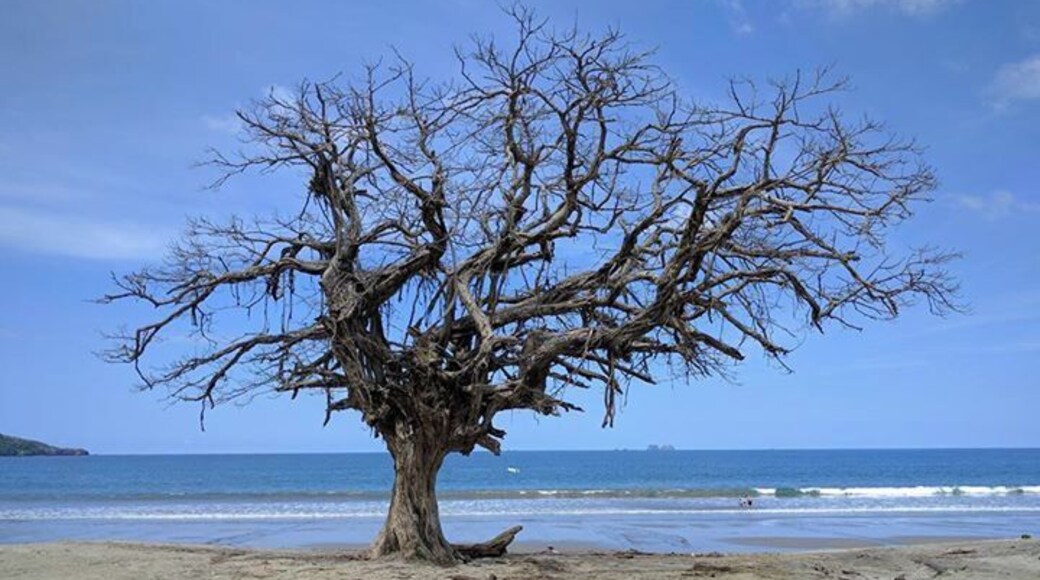 Playa Brasilito - #lifeatexpedia