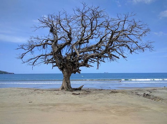 Playa Brasilito - #lifeatexpedia