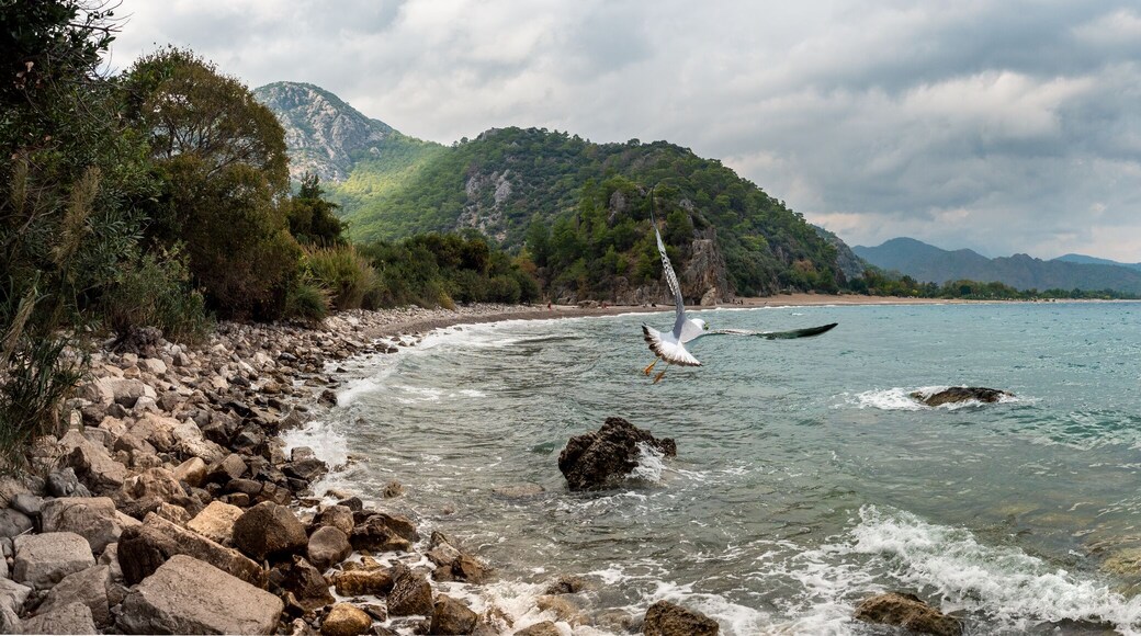 Panoramic view of Adrasan beach on Cirali resort.